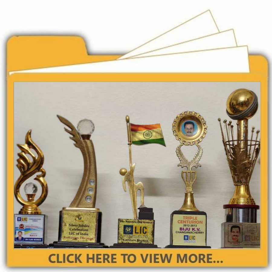 OUR TROPHIES